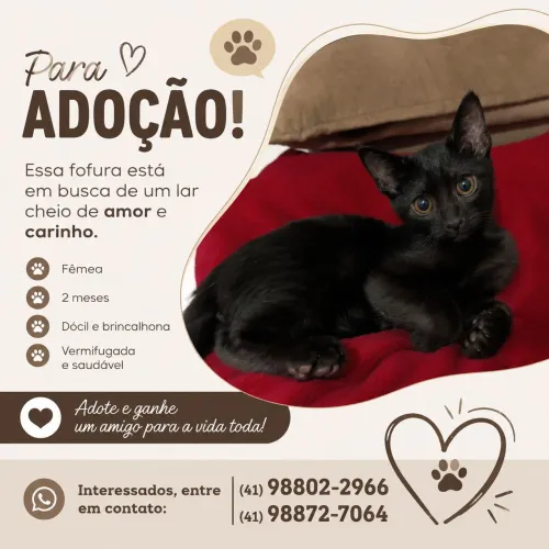 Doação