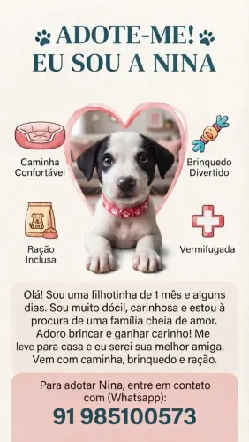 Adoção