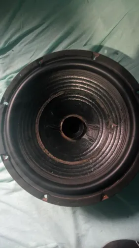 Alto-falante de 12 polegadas com duas bobinas