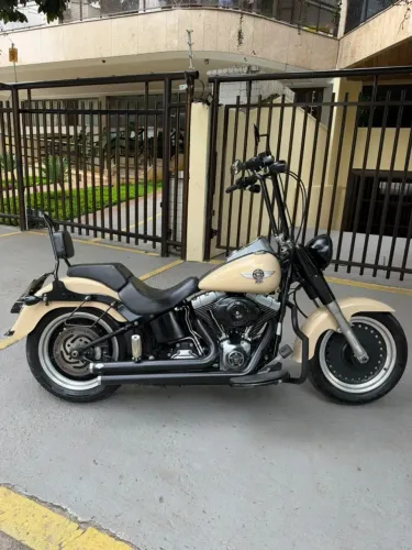Harley-Davidson Fat BOY Low/ Special Flstfb 2015 Bege