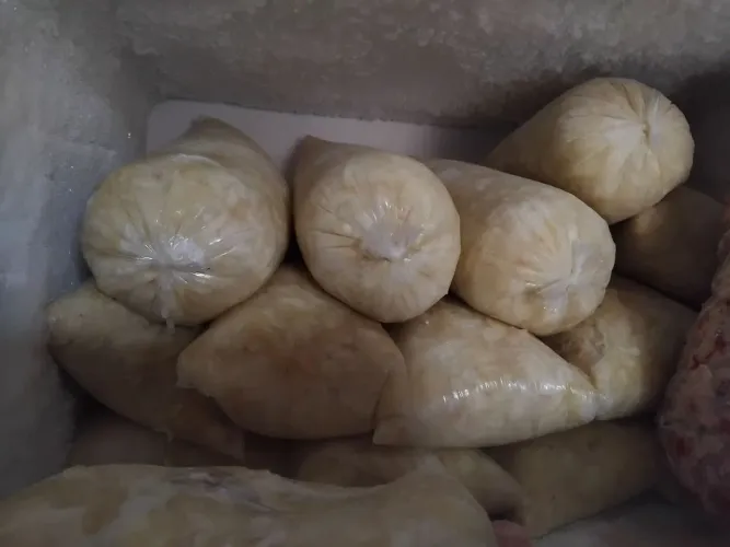 Polpas de cupuaçu 100% natural 