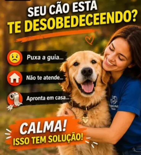 Adestramento de Cães: Comportamento e Obediência (Atendimento em Domicílio)
