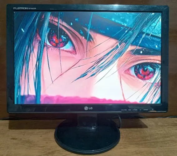 Monitor 19  LG 16:9 + Cabos