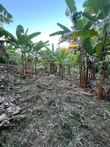 TERRENO 15x20 EM PACOTI! Pagamento facilitado