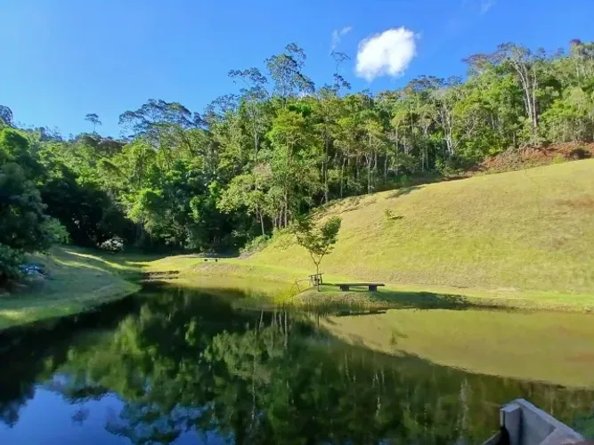 Excelente Área em Marechal Floriano com 25 hectares (Valor abaixo do mercado)