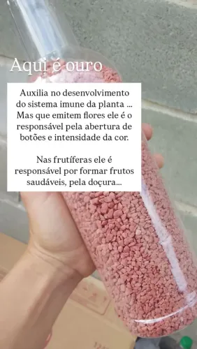 Adubação obrigatória para plantas.