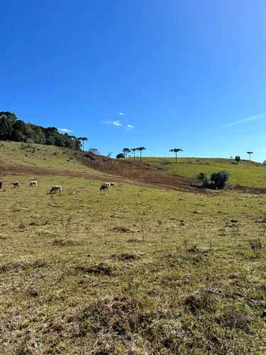 Fazenda/Sítio/Chácara para venda tem 20000 metros quadrados com 1 quarto