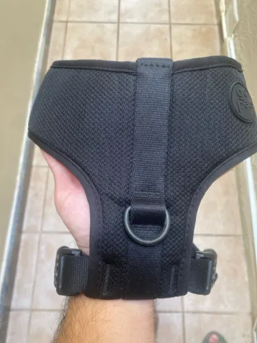 Coleira PET tamanho G da GO Case