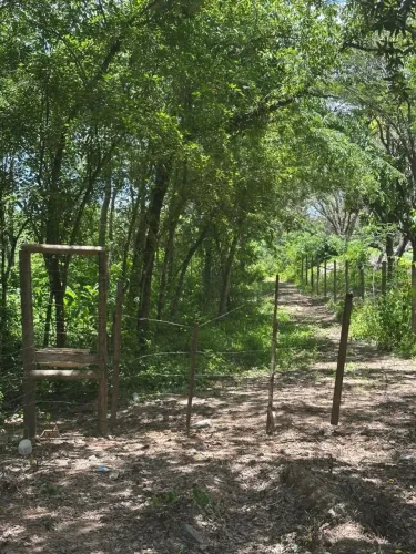 Oportunidade: Terreno Amplo Bairro Atalaia