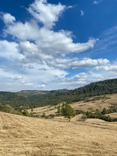 Fazenda para pecuária em Bocaina do Sul.