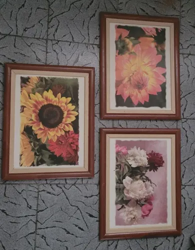 3 quadros de madeira 40×30 decorativos rosas flores 