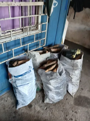 Lenha para fogueira /lareira  e fogão a lenha 
