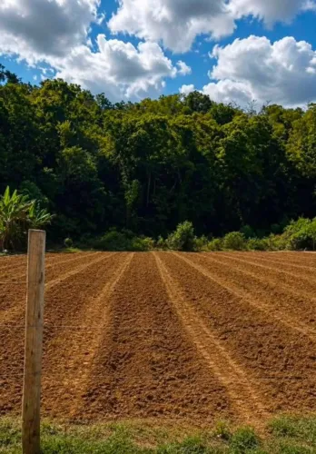 Terreno 1.800 m2 - em Cariacica no bairro Bubu