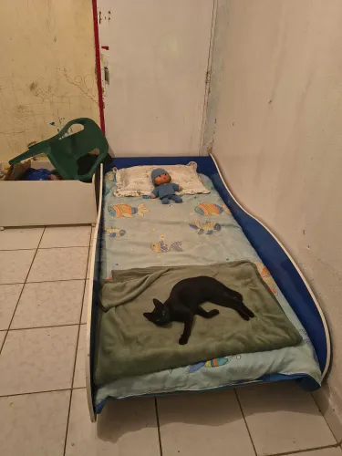 Moveis , mudança
