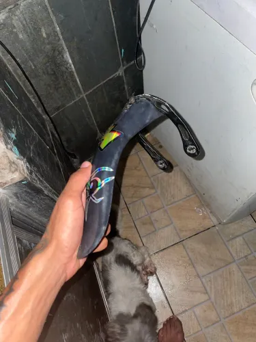 vendo bico de pato