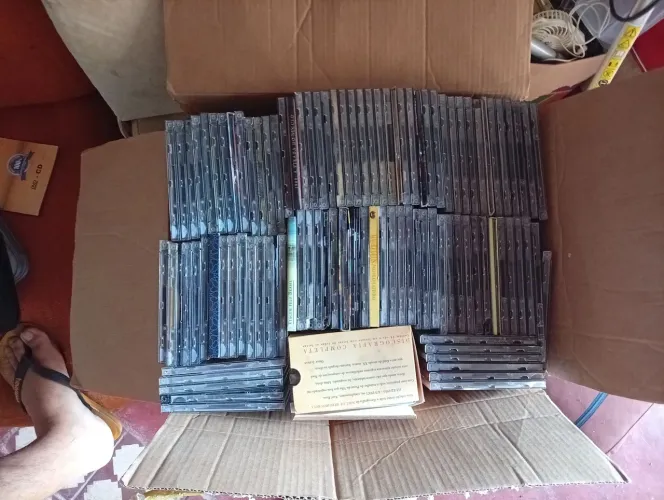223 CDs musicais diversos estilos
