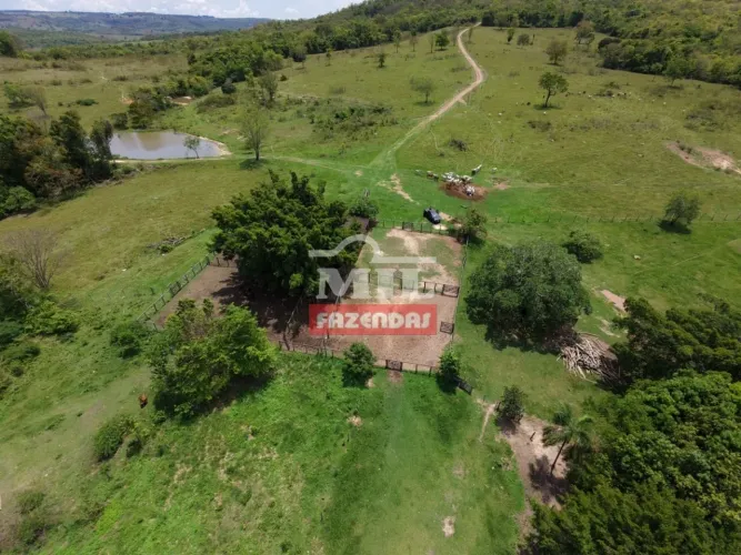 Fazenda 159 Alqueires (769 Hectares) Água Limpa - GO