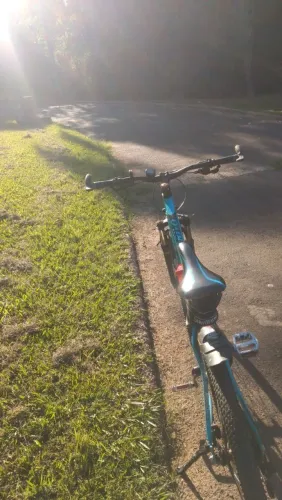 Bicicleta aro 29 track 