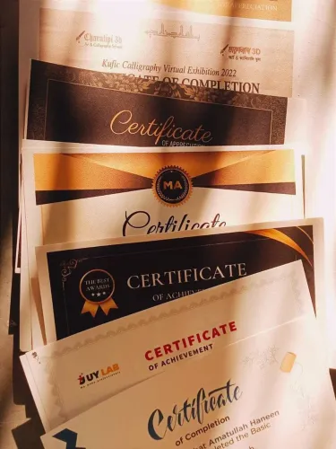 CERTIFICADOS - ENSINO MÉDIO - CURSOS PROFISSIONALIZANTES