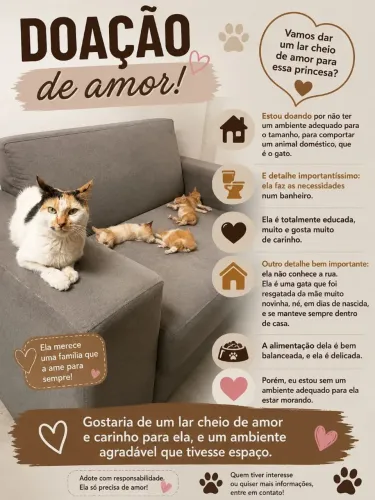 Doação de amor ?