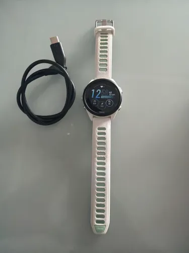 Garmin 265s