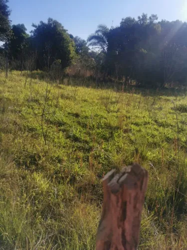 Lote em Ponte Alta