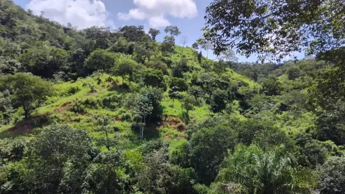 Fazenda à venda região de Guiratinga MT