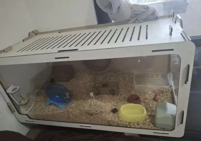 Terrario grande de madeira mdf para hamster ou porquinho da Índia