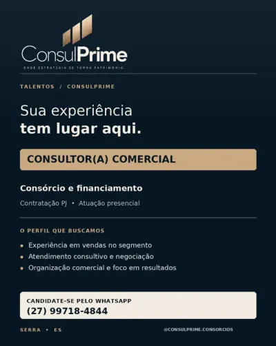 Consultor Comercial PJ