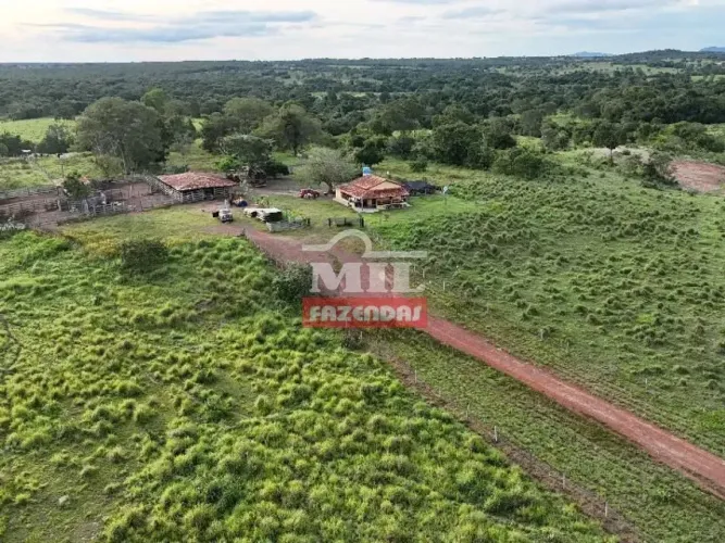 Fazendão de 385 Alqueires (1.864 Hectares) em Araguapaz - Goiás.
