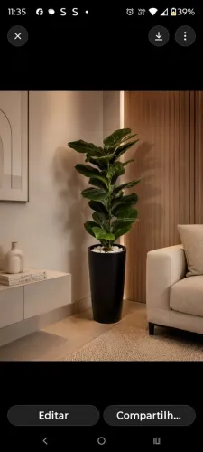 Vaso grande com Ficus Lyrata 1,30 metros