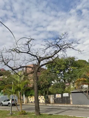 Terreno à venda na Vila Hamburguesa, São Paulo | Oportunidade única!