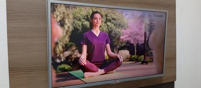 Vendo essa tv da marca LG de 32 polegadas digital Full HD