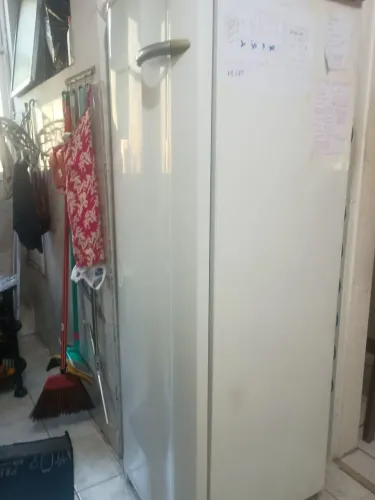 Freezer vertical