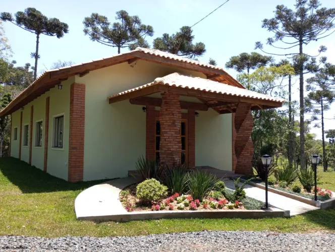 Sítio para Venda em Campo Alegre, Avenquinha
