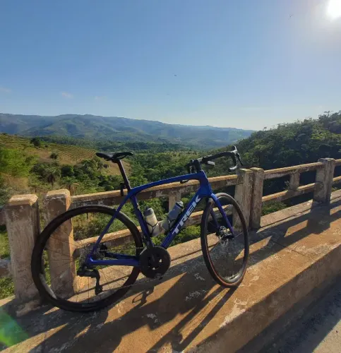 Trek Domane SL6