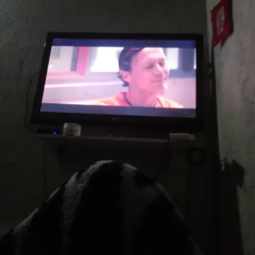 Tv tlc pra reposto