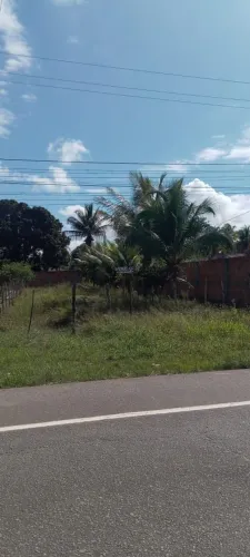 Terreno à Venda em Localização Privilegiada - Sítio Camaçari, Santo Amaro!