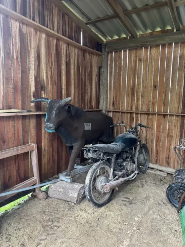 Vaca mecânica e moto
