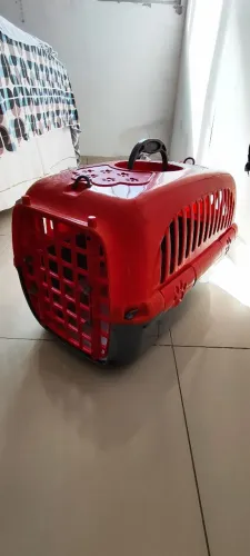 Caixa pet pequeno porte 