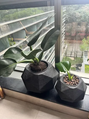 Vaso de planta em polietileno espera diamante