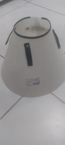 Colar cirúrgico para cães.