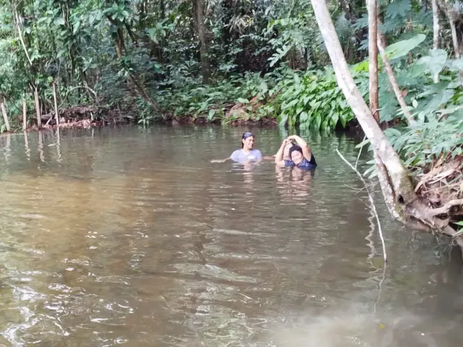 VENDE EXCELENTE PROPRIEDADE EM MORROS- MA, 35 Ha