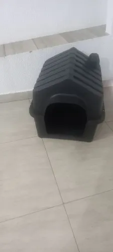 Casa para pets