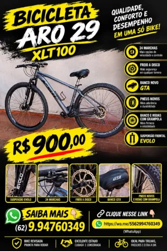 Bicicleta aro 29 24 marchas