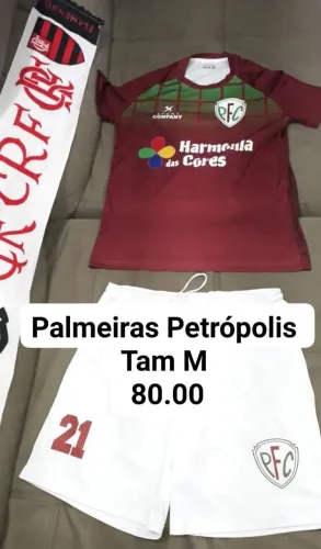 Palmeiras Futsal de Petrópolis 