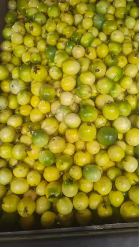 Maracujá saco 20kg