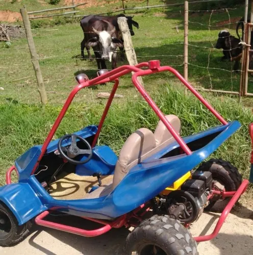 Mini buggy fapinha