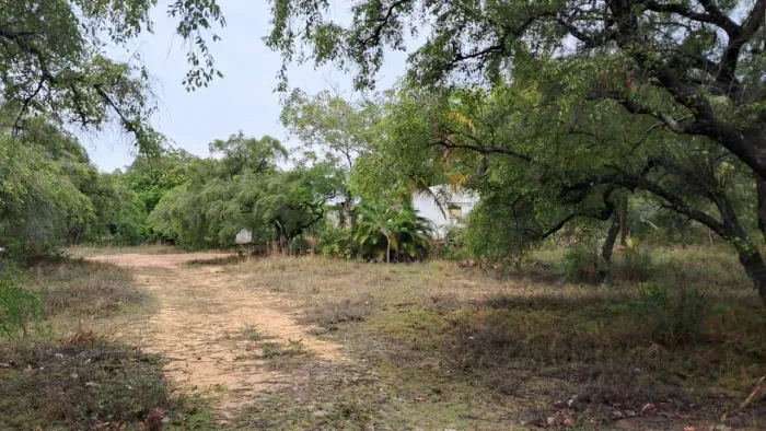 Terreno à venda, 11701 m² por R$ 250.000,00 - Planalto Nossa Senhora da Conceição - Conde/