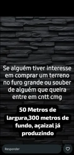 Terreno na ilha das onças